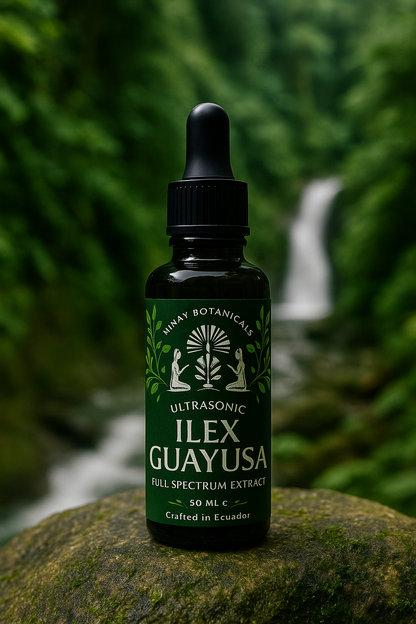 Plant Extracts (concentrates) - Guayusa 50 ml